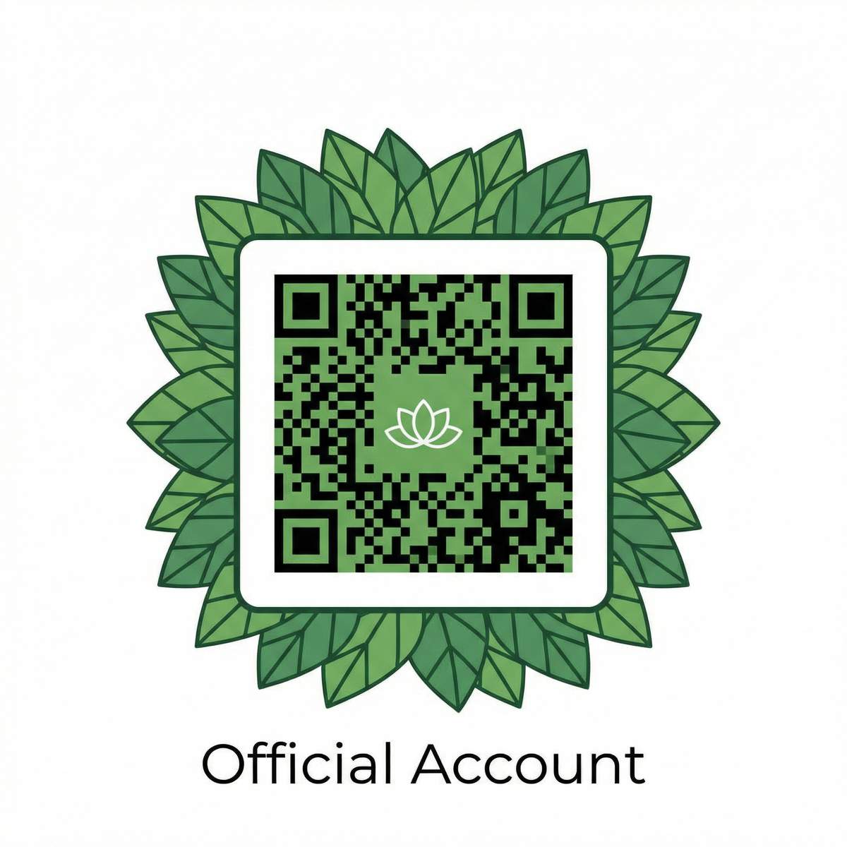 橙光文化公众号二维码